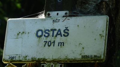 63.jpg