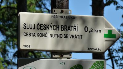 66.jpg