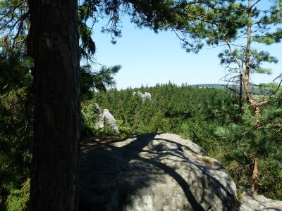 68.jpg