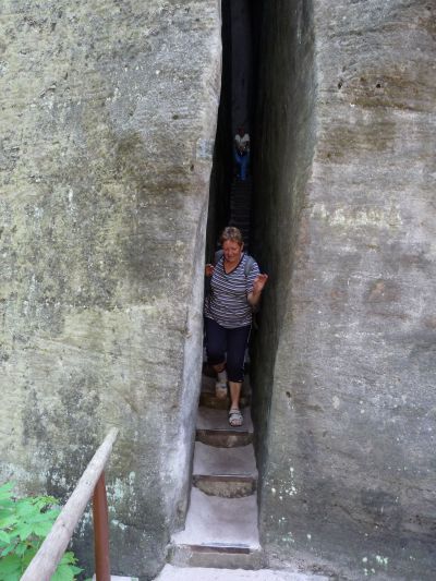 81.jpg