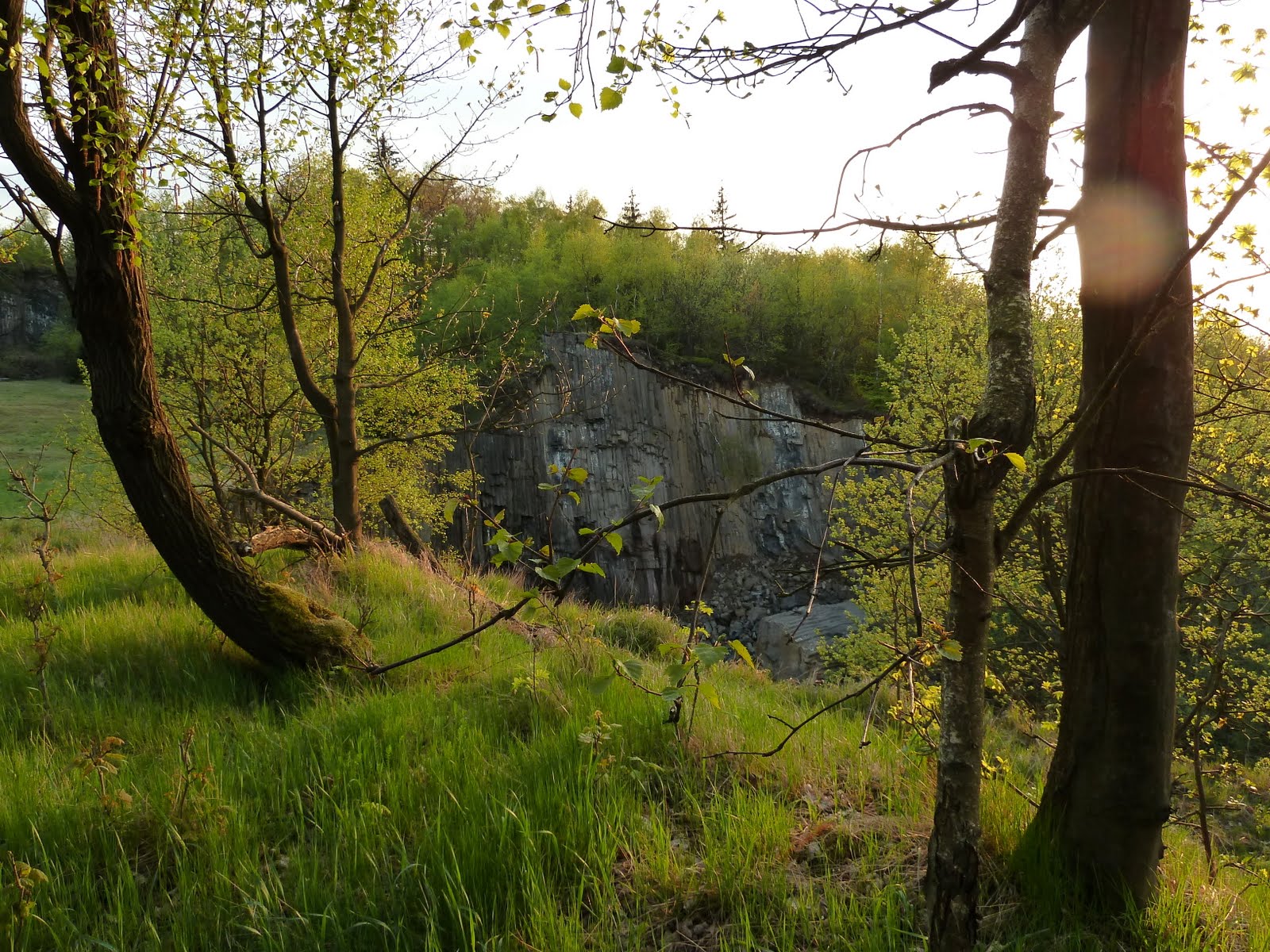P1000851.JPG